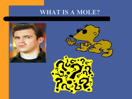WHAT IS A MOLE?.