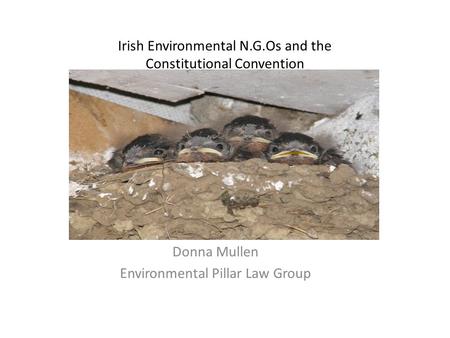 Irish Environmental N.G.Os and the Constitutional Convention Donna Mullen Environmental Pillar Law Group.