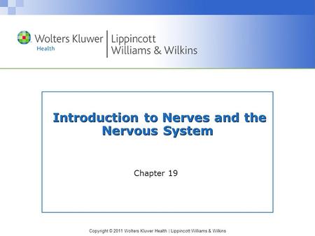 Copyright © 2011 Wolters Kluwer Health | Lippincott Williams & Wilkins Introduction to Nerves and the Nervous System Chapter 19.