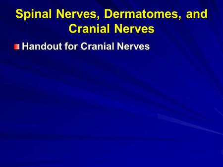 Spinal Nerves, Dermatomes, and Cranial Nerves