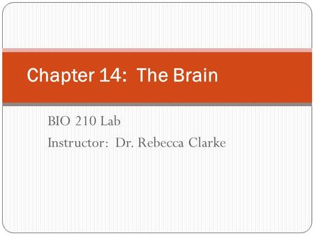 BIO 210 Lab Instructor: Dr. Rebecca Clarke