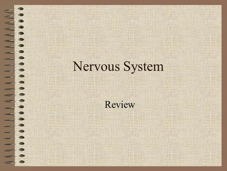 Nervous System Review.