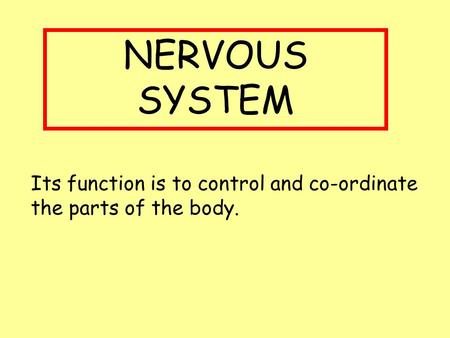 NERVOUS SYSTEM Its function is to control and co-ordinate the parts of the body.