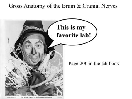 This is my favorite lab! Gross Anatomy of the Brain & Cranial Nerves Page 200 in the lab book.
