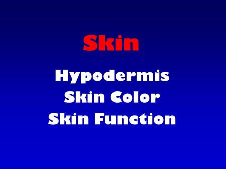 Skin Hypodermis Skin Color Skin Function. Subcutaneous or Hypodermis Not part of the skin Between dermis and tissues below.