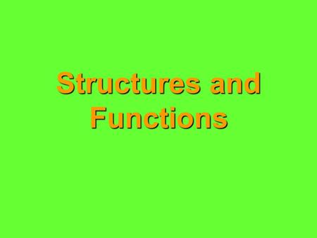 Structures and Functions