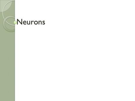 Neurons.