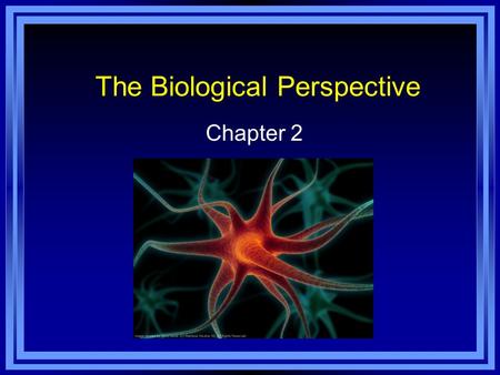 The Biological Perspective