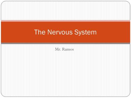 Mr. Ramos The Nervous System. Before We Get Started… Levels of Organization.