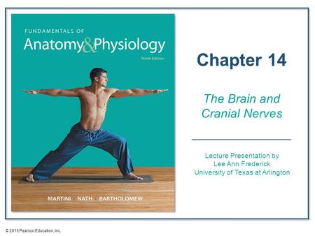 An Introduction to the Brain and Cranial Nerves