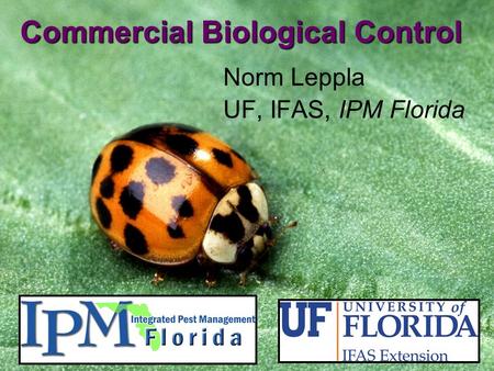 Commercial Biological Control Norm Leppla UF, IFAS, IPM Florida.