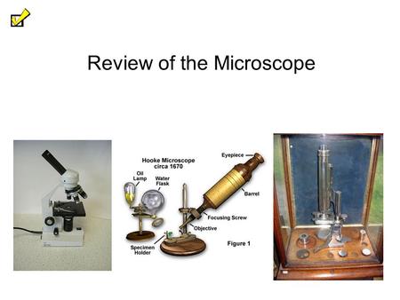 Review of the Microscope