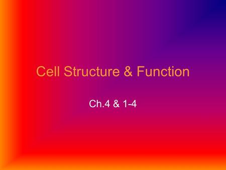 Cell Structure & Function Ch.4 & 1-4. (4-1) History Cell: smallest unit that can carry on the processes of life Hooke (1665): looked at plants under microscope.