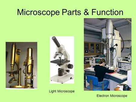 Microscope Parts & Function