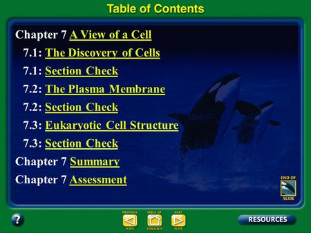 Chapter Contents – page viii Chapter 7 A View of a CellA View of a Cell 7.1: The Discovery of CellsThe Discovery of Cells 7.1: Section CheckSection Check.