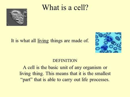 What is a cell? DEFINITION A cell is the basic unit of any organism or living thing. This means that it is the smallest “part” that is able to carry out.