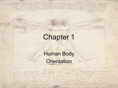 Human Body Orientation