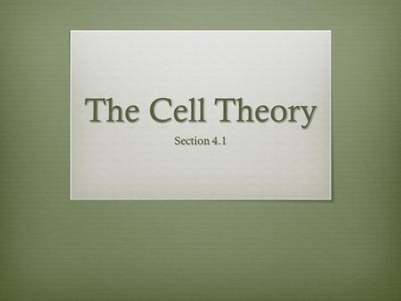 The Cell Theory Section 4.1. What do you know?  Where are cells found?  How many cells are there in a single human being?  What do you think might.