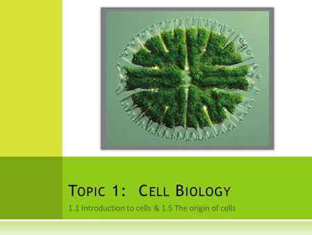 1.1 Introduction to cells & 1.5 The origin of cells T OPIC 1: C ELL B IOLOGY.