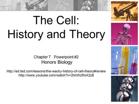 The Cell: History and Theory Chapter 7 Powerpoint #2 Honors Biology