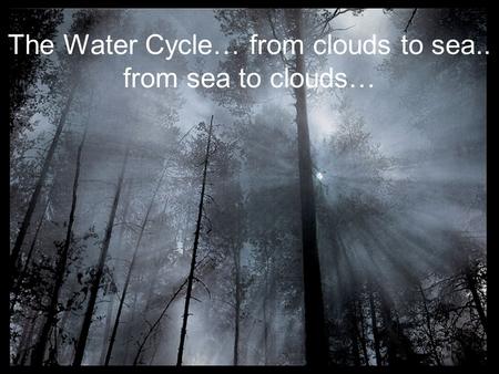 The Water Cycle… from clouds to sea.. from sea to clouds…