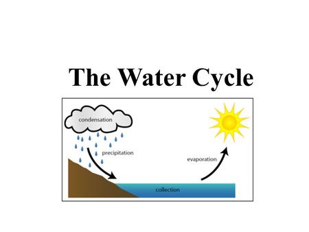 The Water Cycle Water Cycle Evaporation Condensation Precipitation.