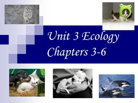 Unit 3 Ecology Chapters 3-6. SB4. Students will assess the dependence of all organisms on one another and the flow of energy and matter within their ecosystems.