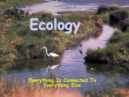 Ecology Everything Is Connected To Everything Else.