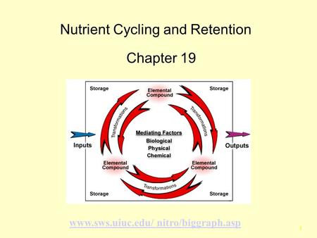 1 Nutrient Cycling and Retention Chapter 19 www.sws.uiuc.edu/ nitro/biggraph.asp.