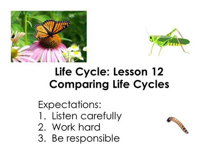 Life Cycle: Lesson 12 Comparing Life Cycles Expectations: 1. Listen carefully 2. Work hard 3. Be responsible.