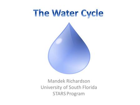 Mandek Richardson University of South Florida STARS Program.