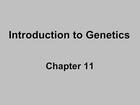 Introduction to Genetics Chapter 11. DNA Basics 1.DNA contains the code for making proteins. 2.Proteins control the chemistry of life. Everything that.
