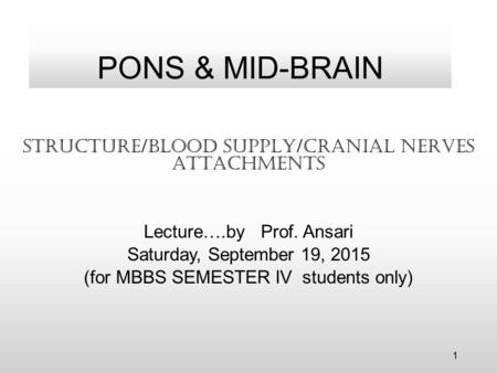 PONS & MID-BRAIN STRUCTURE/BLOOD SUPPLY/CRANIAL NERVES ATTACHMENTS