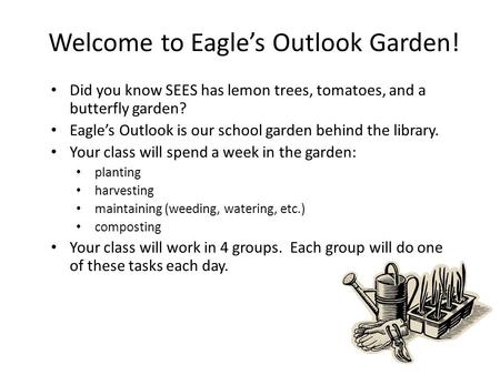 Welcome to Eagle’s Outlook Garden! Did you know SEES has lemon trees, tomatoes, and a butterfly garden? Eagle’s Outlook is our school garden behind the.