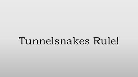 Tunnelsnakes Rule!. Story and Genre The game is about surviving waves of enemies for however long you can while gunning for a high score. You play the.