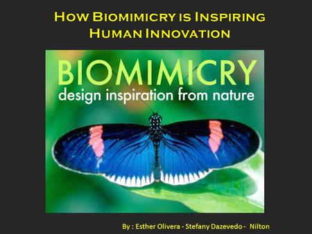 By : Esther Olivera - Stefany Dazevedo - Nilton. Biomimicry or biomimetics is the examination of Nature, its models, systems, processes, and elements.