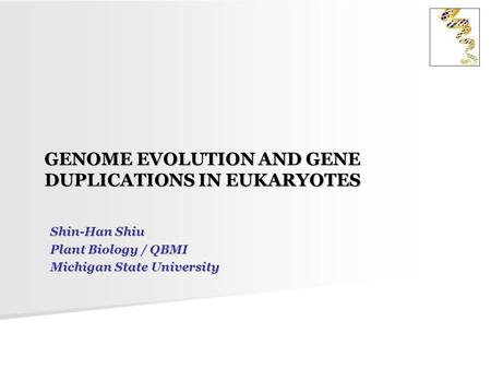 GENOME EVOLUTION AND GENE DUPLICATIONS IN EUKARYOTES Shin-Han Shiu Plant Biology / QBMI Michigan State University.