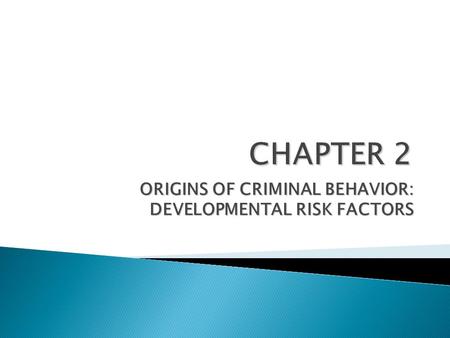 ORIGINS OF CRIMINAL BEHAVIOR: DEVELOPMENTAL RISK FACTORS