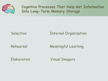 Cognitive Processes That Help Get Information