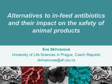 Alternatives to in-feed antibiotics and their impact on the safety of animal products Eva Skřivanová University of Life Sciences in Prague, Czech Republic.