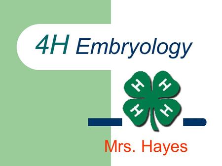 4H Embryology Mrs. Hayes. Pledge My head to clearer thinking My heart to greater loyalty My hands to larger Service My health to better living My club,