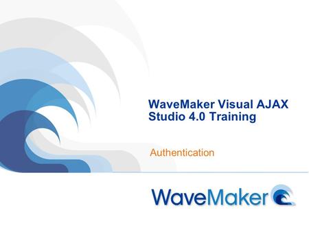WaveMaker Visual AJAX Studio 4.0 Training Authentication.