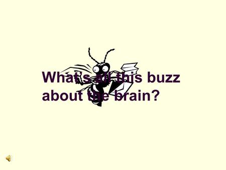 What’s all this buzz about the brain? Creating a Brain - Compatible Classroom Neuroscience and the Adult Educator.