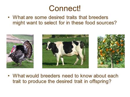Connect! What are some desired traits that breeders might want to select for in these food sources? What would breeders need to know about each trait to.