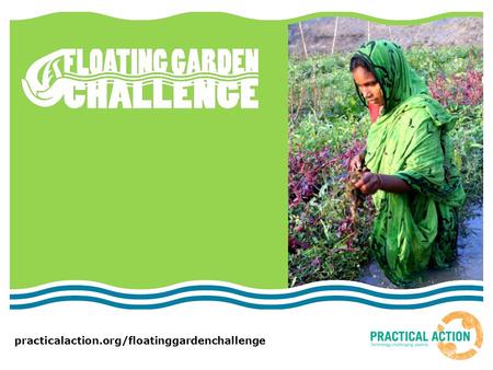 Practicalaction.org/floatinggardenchallenge. What problems are caused by climate change? Look at the pictures given to you by your teacher  What is happening?