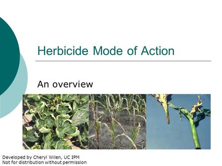 Herbicide Mode of Action An overview Developed by Cheryl Wilen, UC IPM Not for distribution without permission.