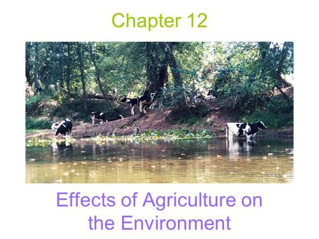 Effects of Agriculture on the Environment