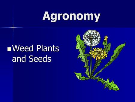 Agronomy Weed Plants and Seeds.