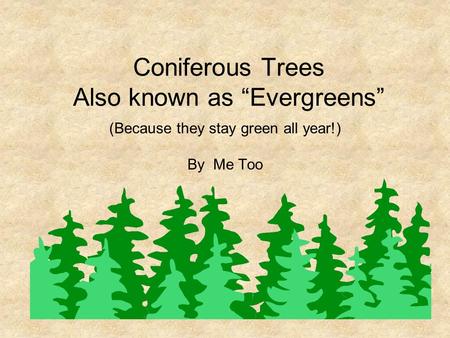 Coniferous Trees Also known as “Evergreens” (Because they stay green all year!) By Me Too.