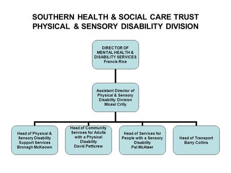 SOUTHERN HEALTH & SOCIAL CARE TRUST PHYSICAL & SENSORY DISABILITY DIVISION DIRECTOR OF MENTAL HEALTH & DISABILITY SERVICES Francis Rice Assistant Director.